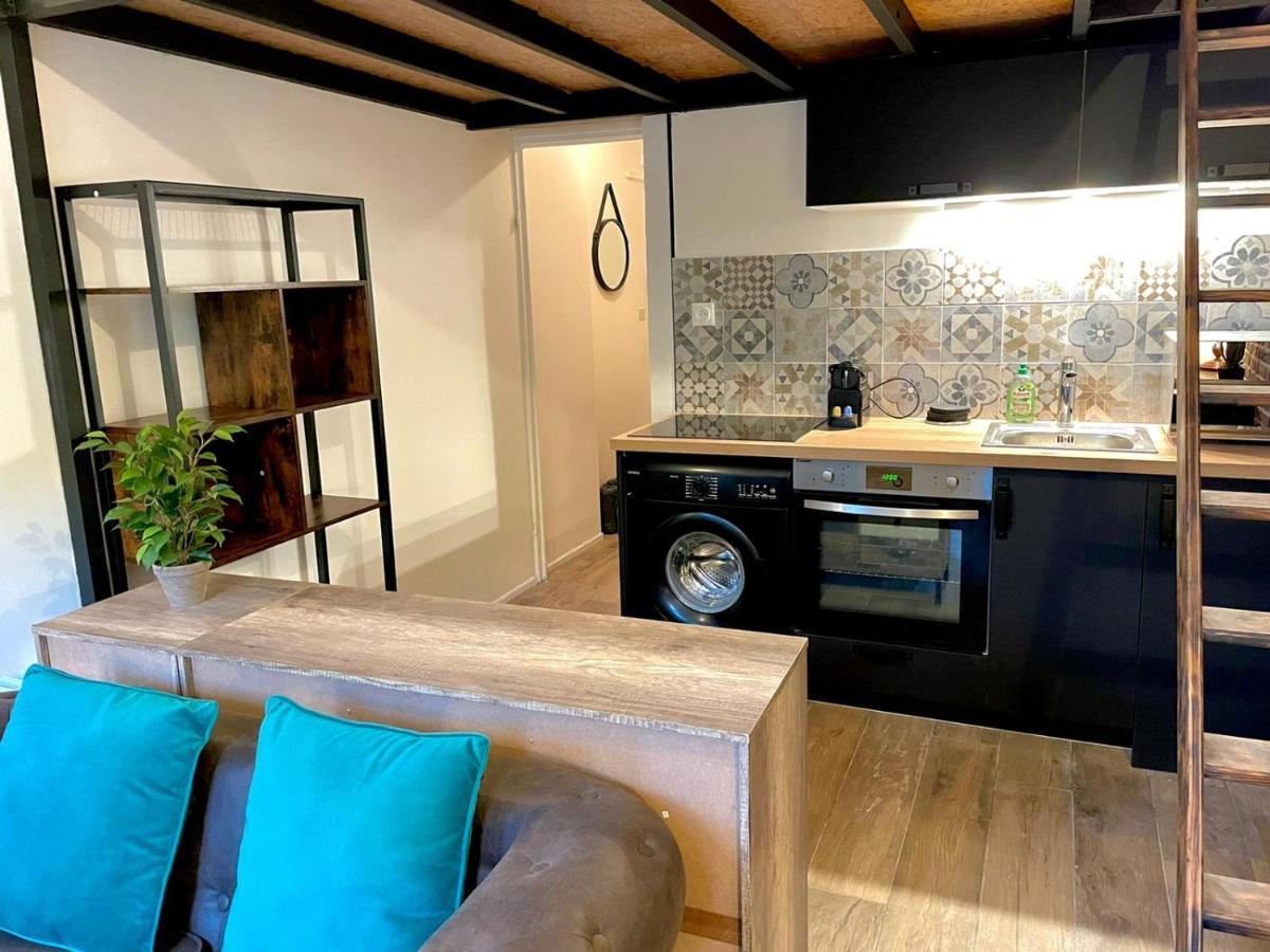 Cocooning & Modern Duplex City Center Carabacel Nisa Exterior foto